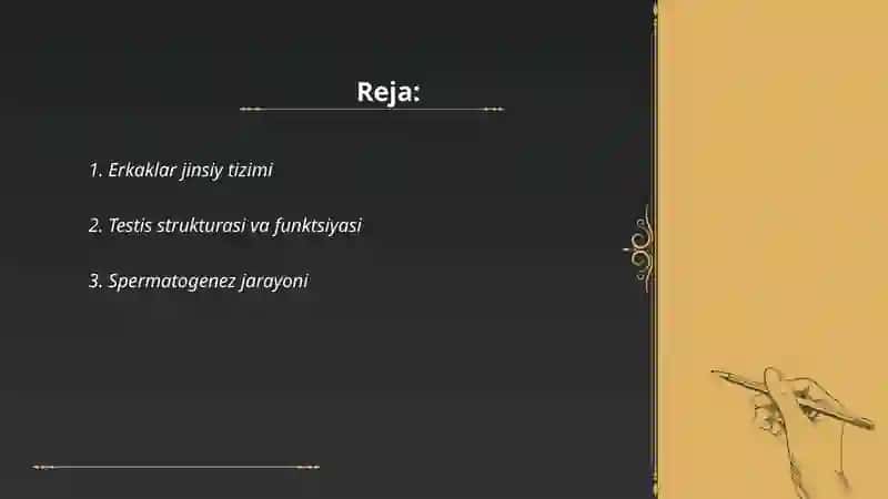 Erkaklar jinsiy yo’llari gistalogiyasi 2