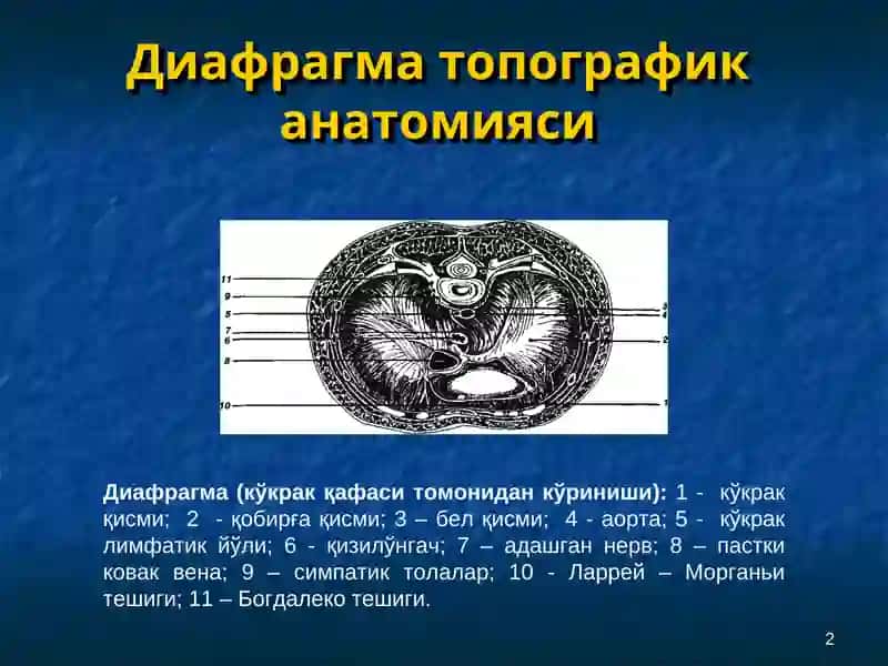 Диафрагма касалликлари 2