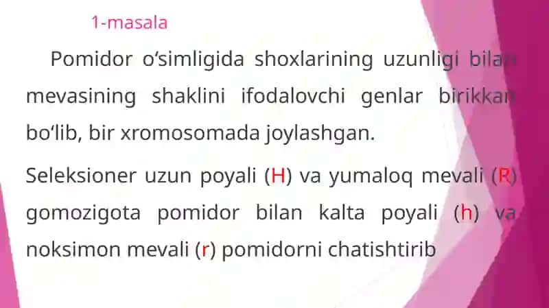 Pomidor o‘simlari genetikasi 2