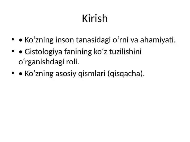Ko‘z Gistologiyasi 2