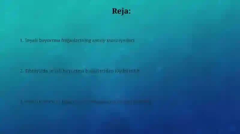 Soyali buyurtma hujjatlari 2