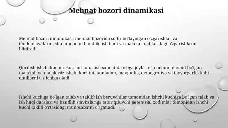 Qurilishda Mehnat Resurslari Va Mehnat 2