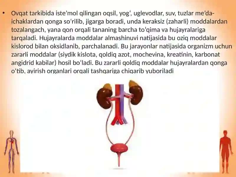 Odam va uning salomatligi 2