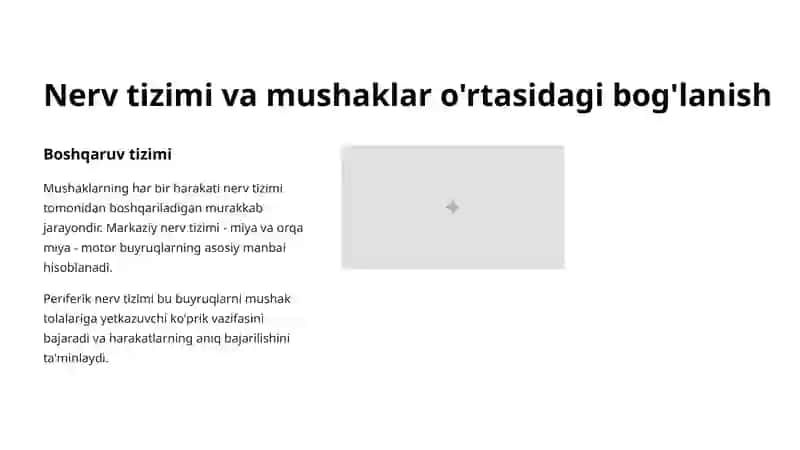 Mushaklarda nervlanishning anatomik asoslari 2