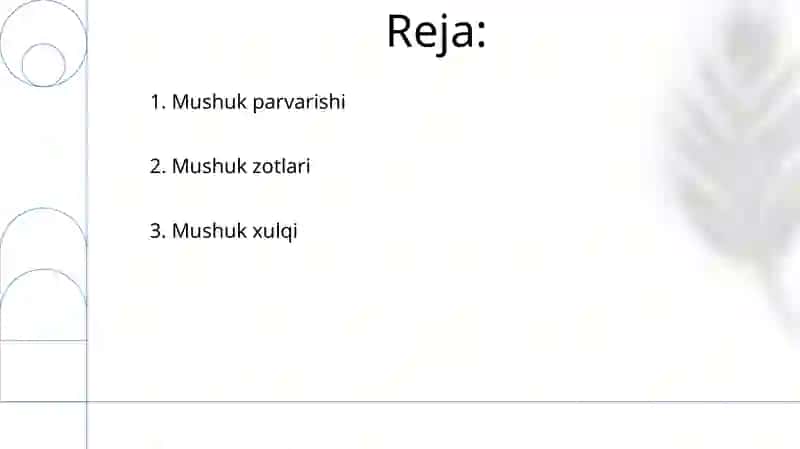 Mushuklar 2