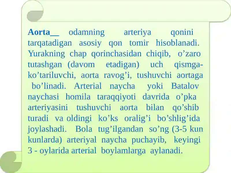 Yurak-qontomirlar tuzilishi 2