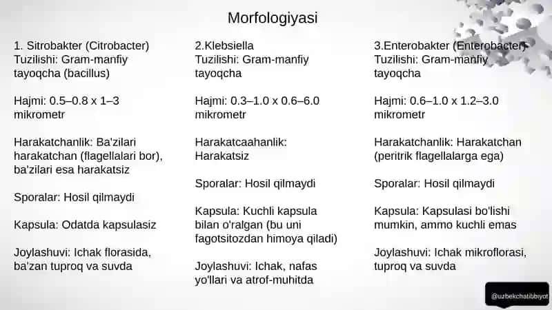 Shartli patogen diarreogen ichak gruppa bakteriyalari 2