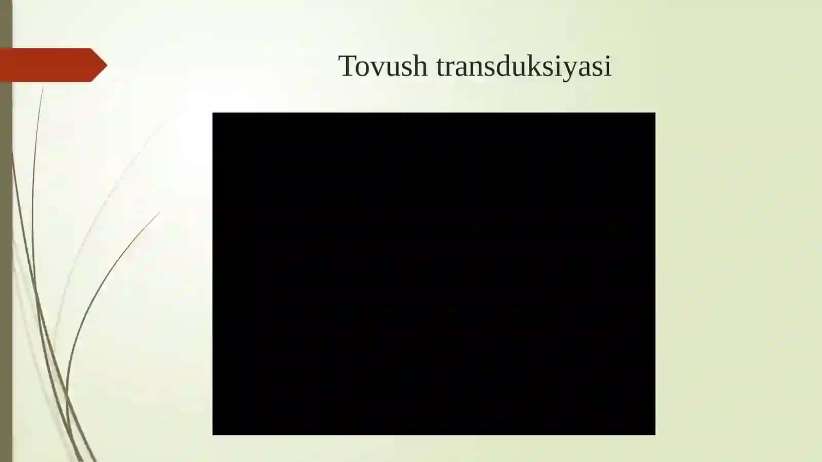 Eshitish sistemasining fizik xususiyatlari 2