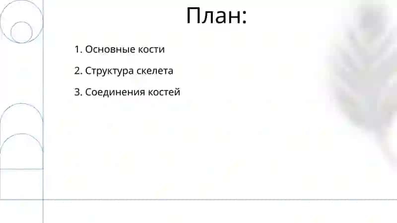 Пояс верхних конечностей 2