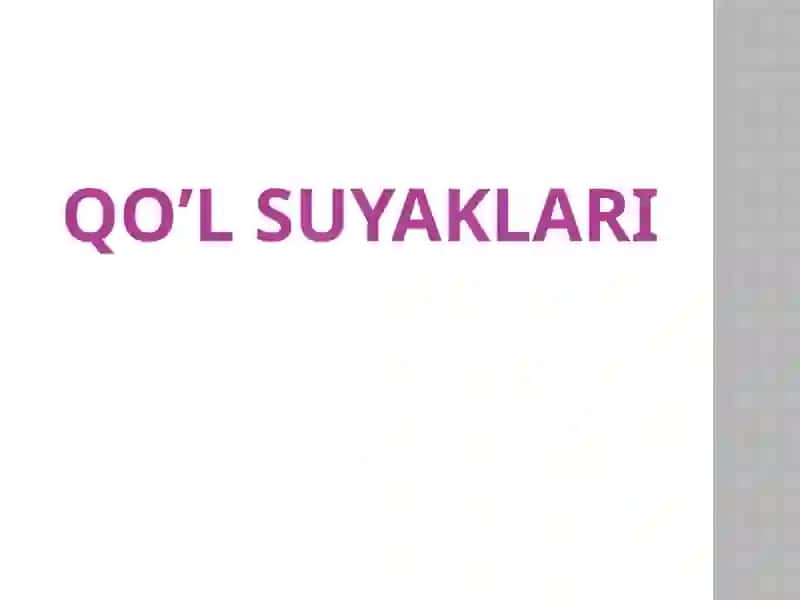 QO’L SUYAKLARI 2