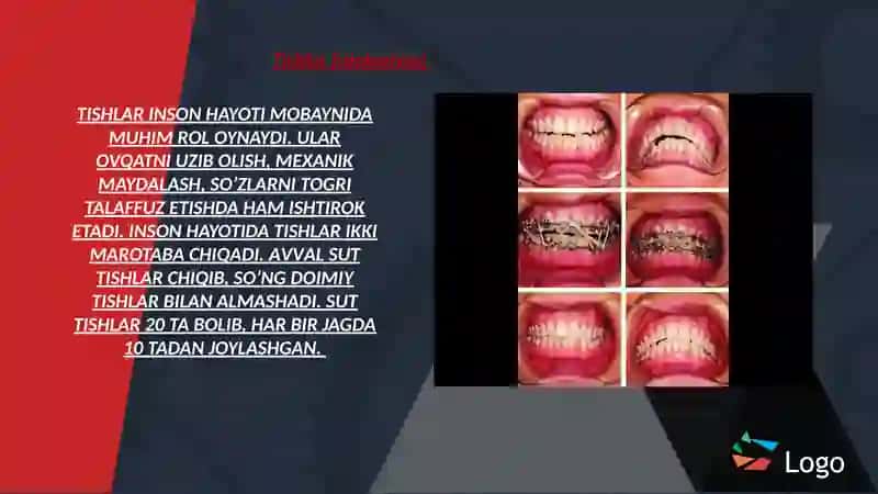 Tishlarfiziologiyasi 2