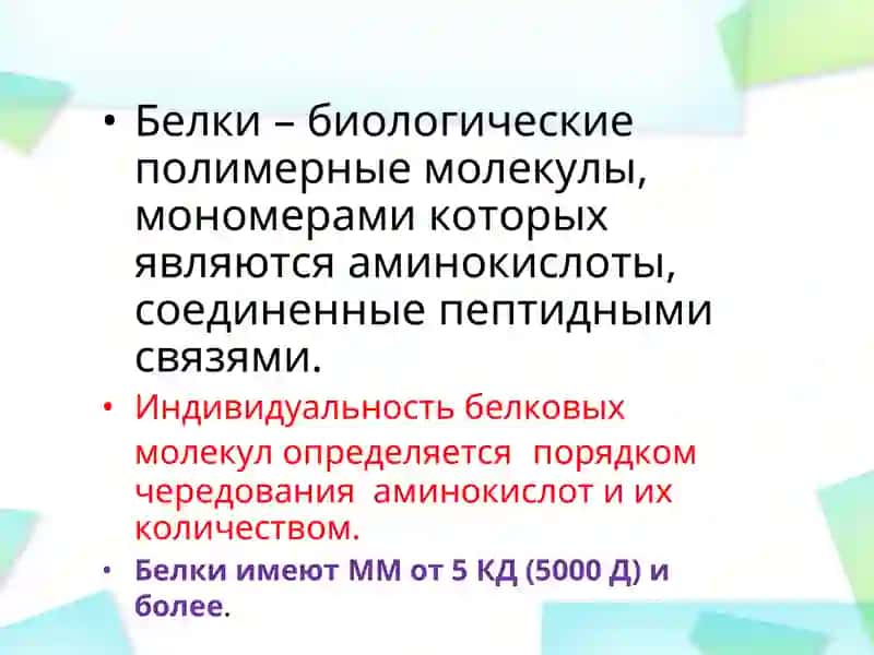 Белки 2