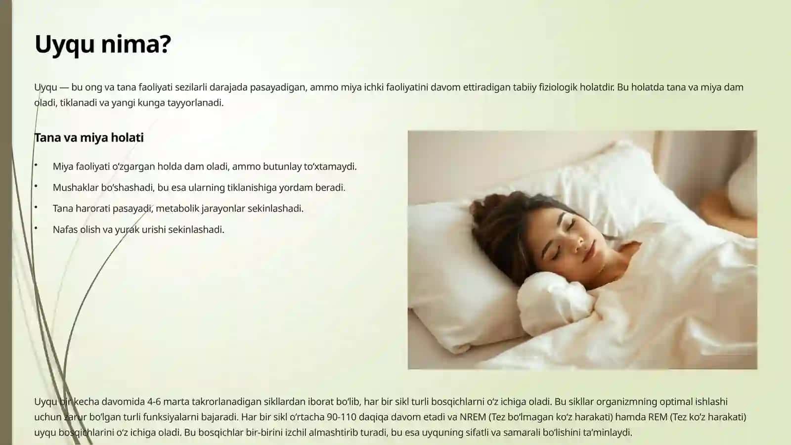 Uyqu va uning ahamiyati 2