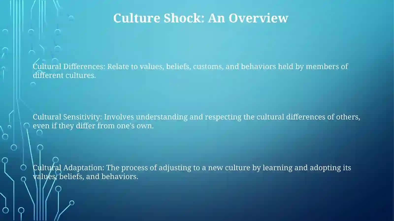 Culture Shock: An Overview 2