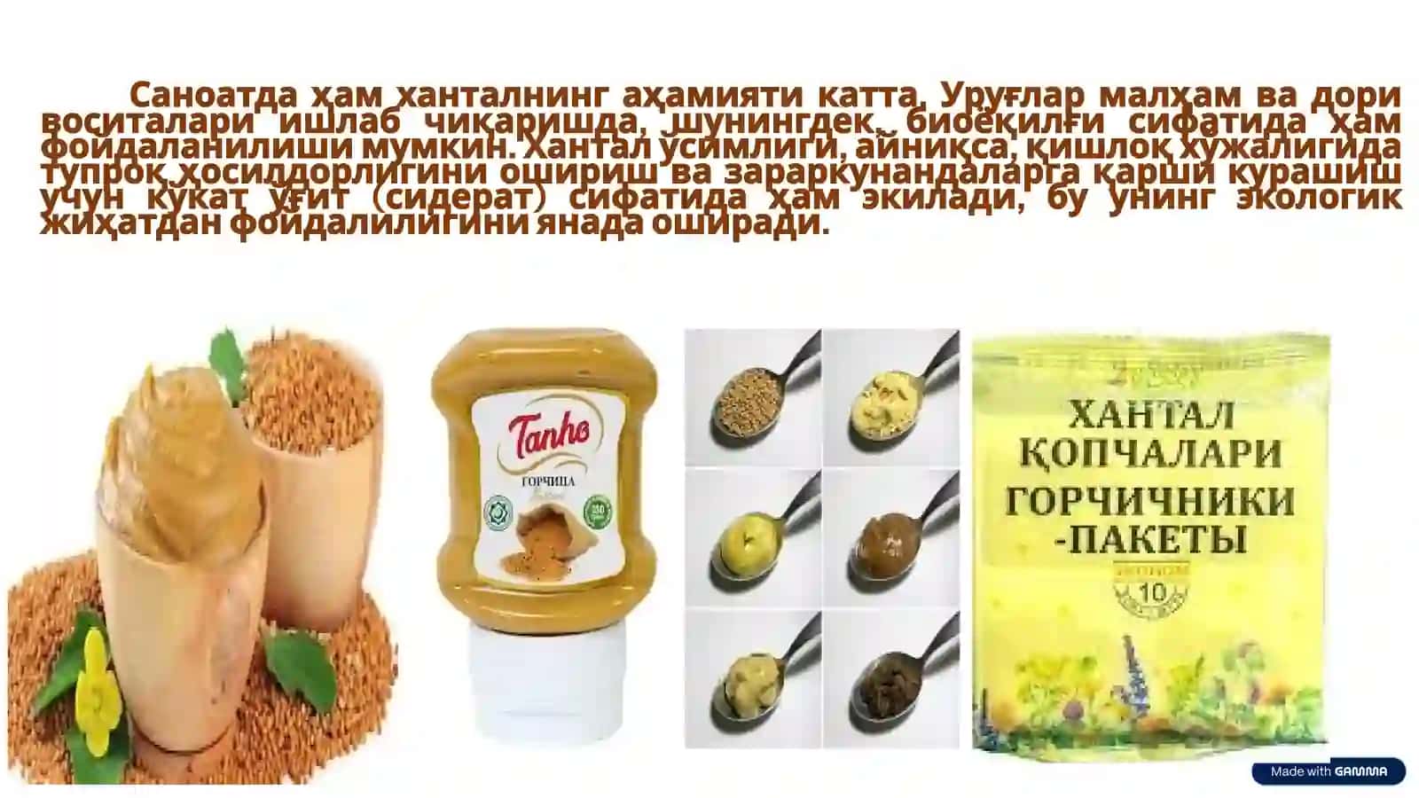 Хантал: мойли ва шифобахш ўсимлик 2