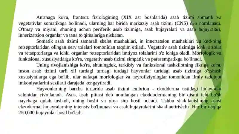Nerv tizimi Neyron tarmoqlari 2