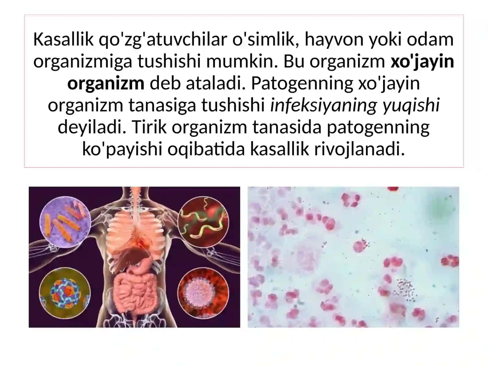 Yuqumli kasalliklar 2