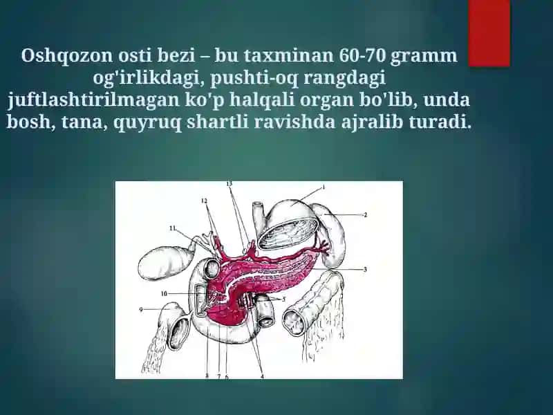 Oshqozon osti bezi kistalari 2