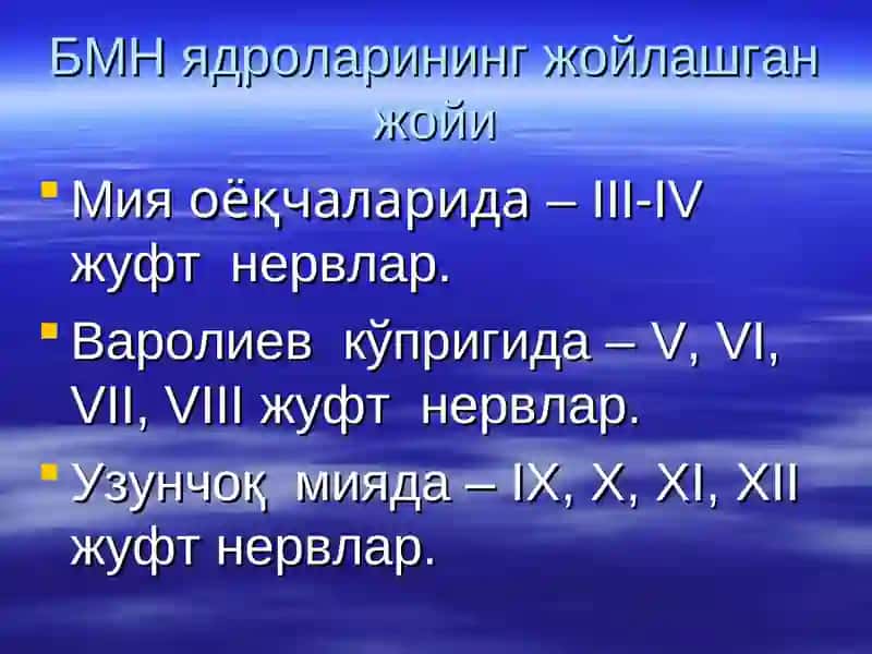 Бош мия нервлари I,II, III, IV, V, VI 2