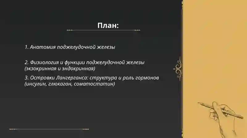 Поджелудочная железа 2