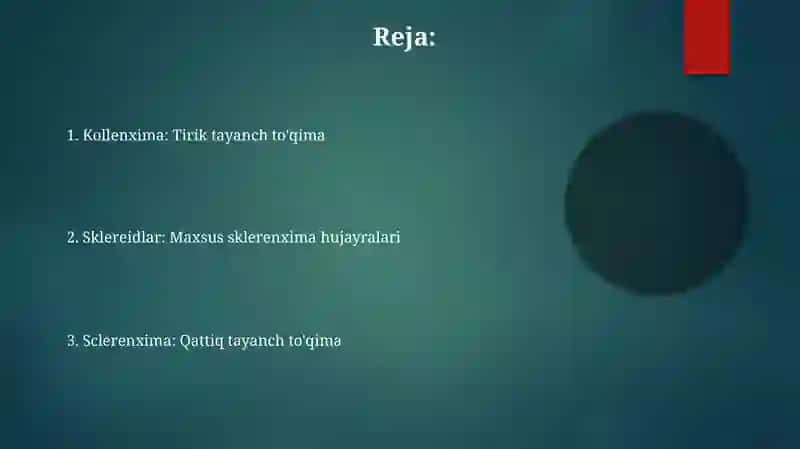 Sklerenxima va sklereidlar 2