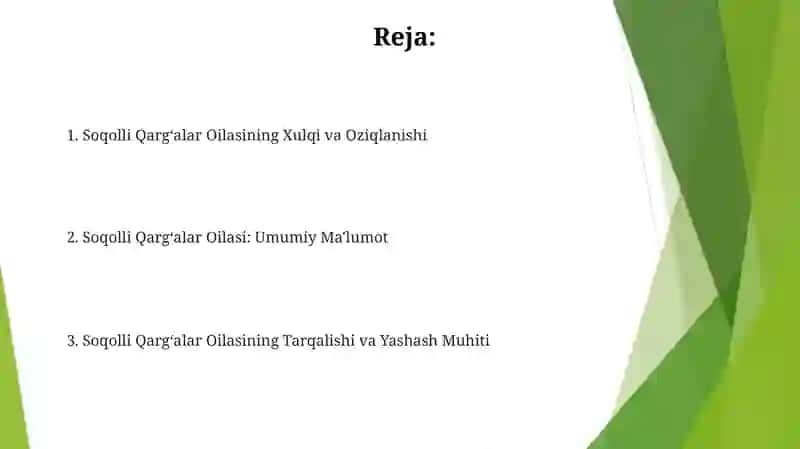 Soqolli Qargʻalar Oilasining Xulqi va Oziqlanishi 2
