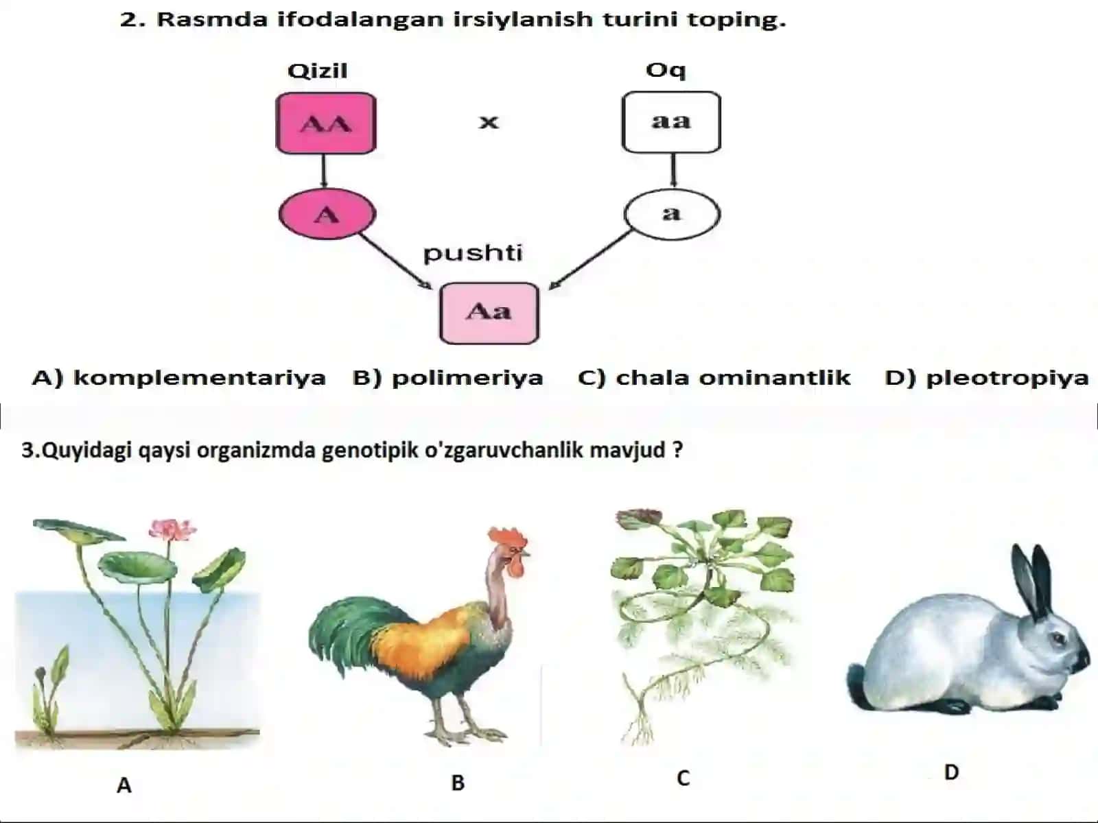 Odam genetikasini o’rganish usullari 2