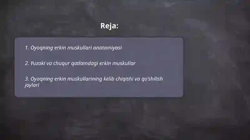 Oyoqning erkin muskullari 2