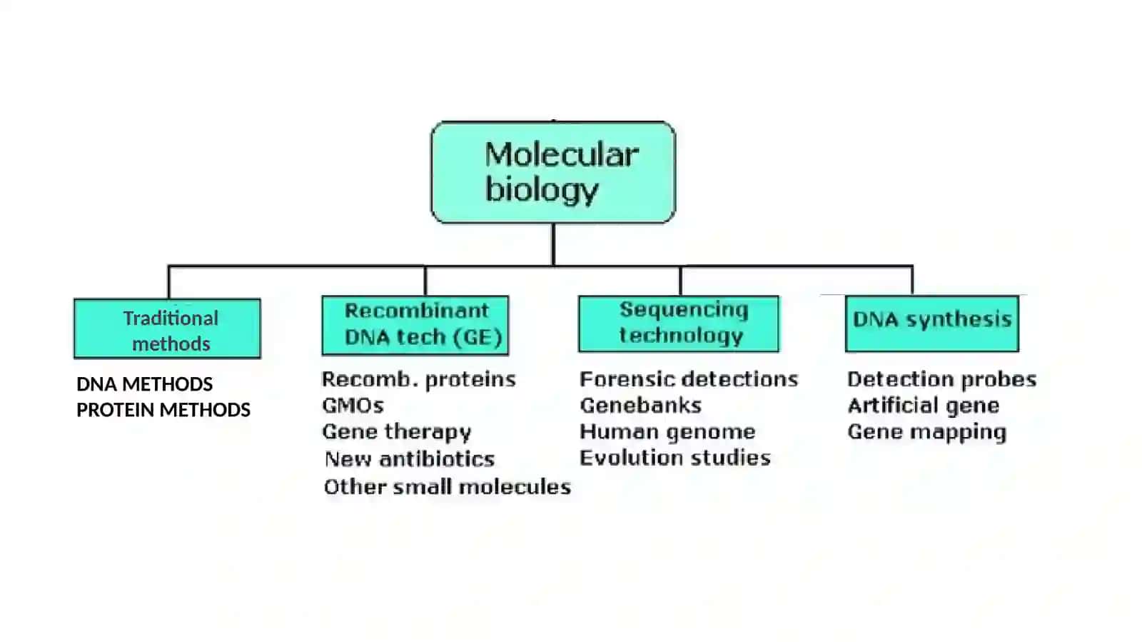 Molekulyarbiologiya 2