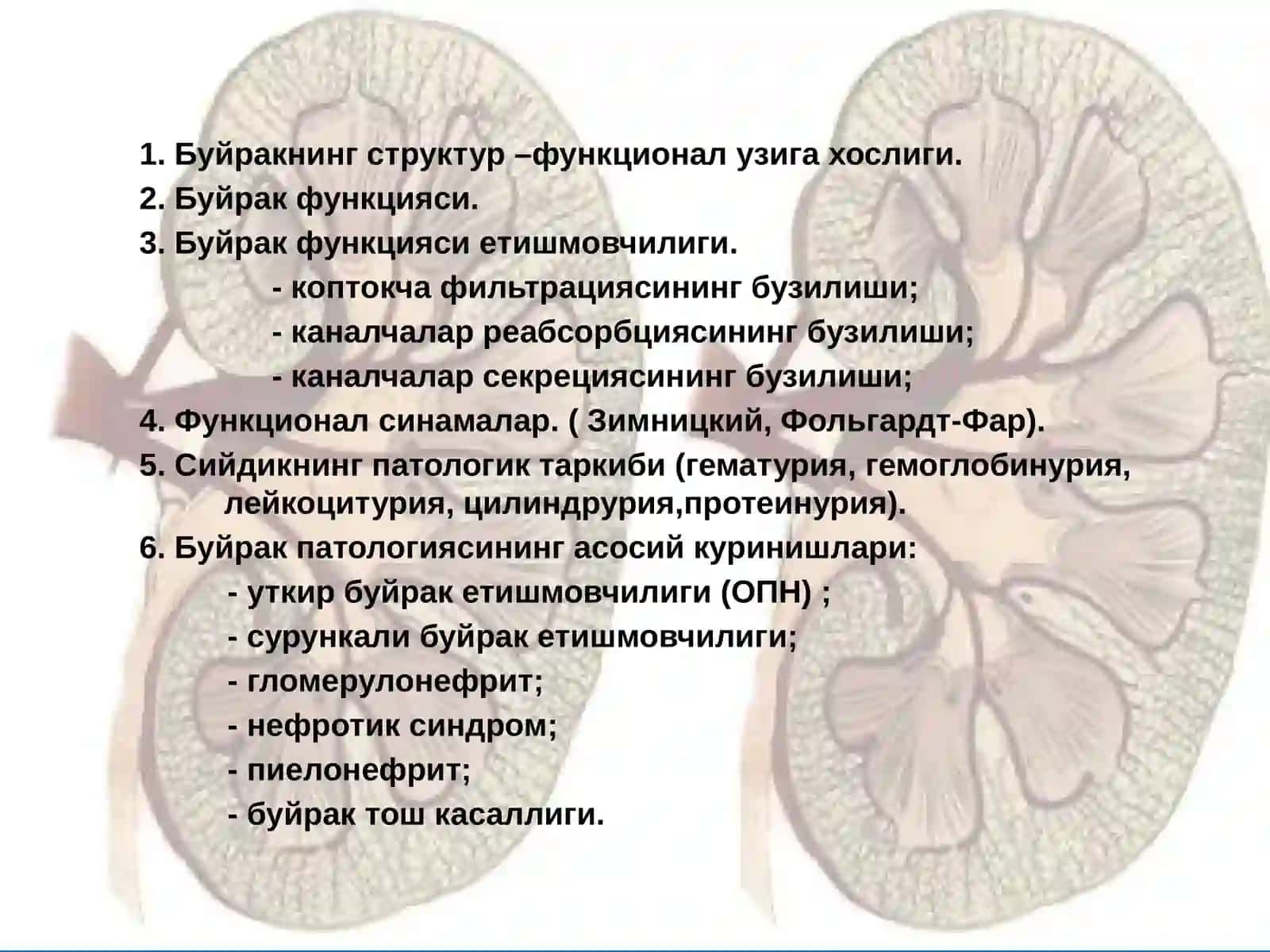 Буйрак патофизиологияси 2