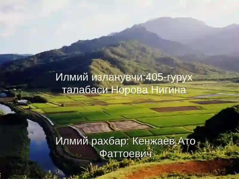 Эндемик зоб касаллигини Шарк табобати усулида даволаш 2