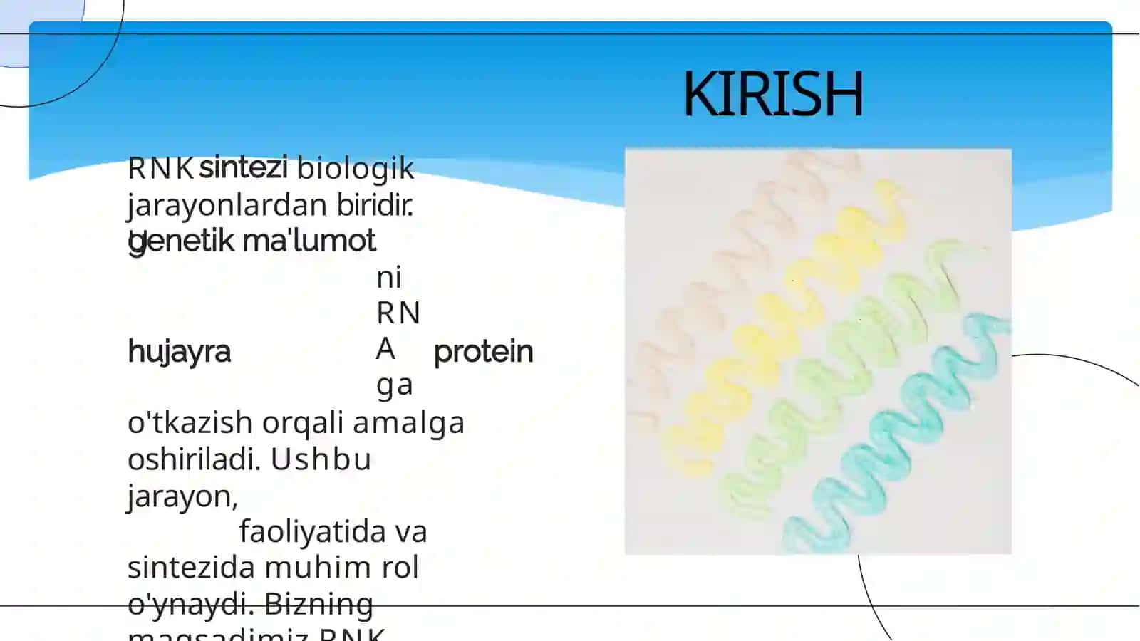 RNK Sintezi 2