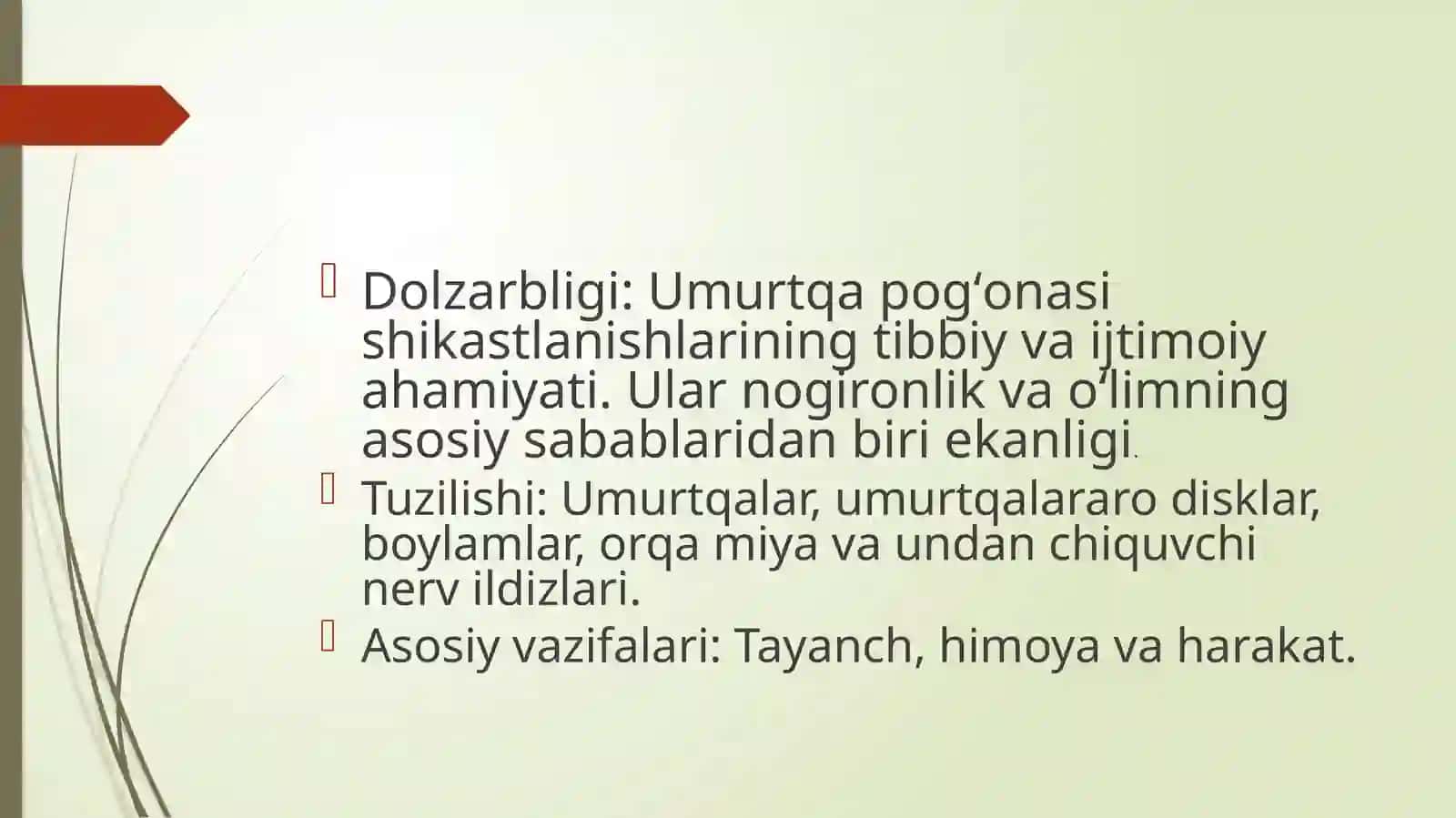 Umurtqa Pogʻonasi Shikastlanishlari 2