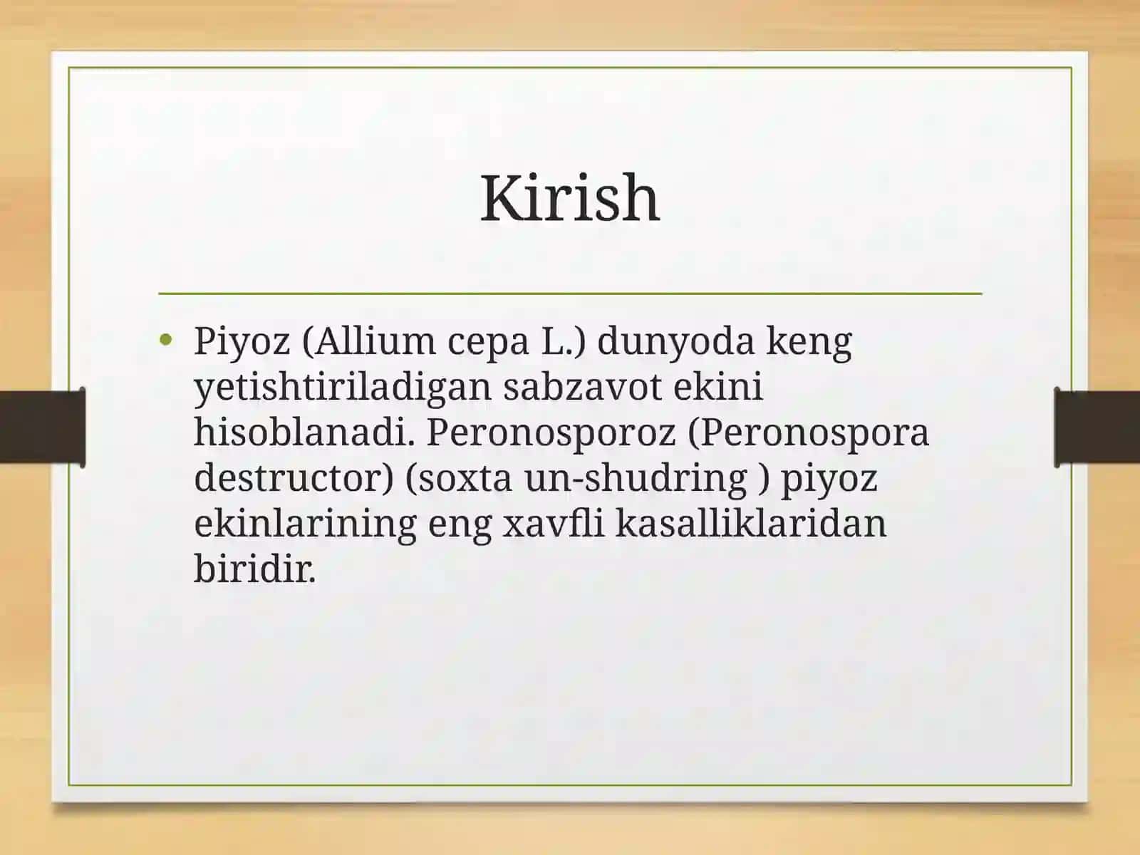Peronosporoz piyoz kasalliklari 2