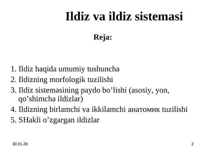 Ildiz va uning vazifasi, ildizning turlari 2