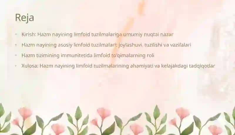Hazm nayining limfoid tuzilmalari 2