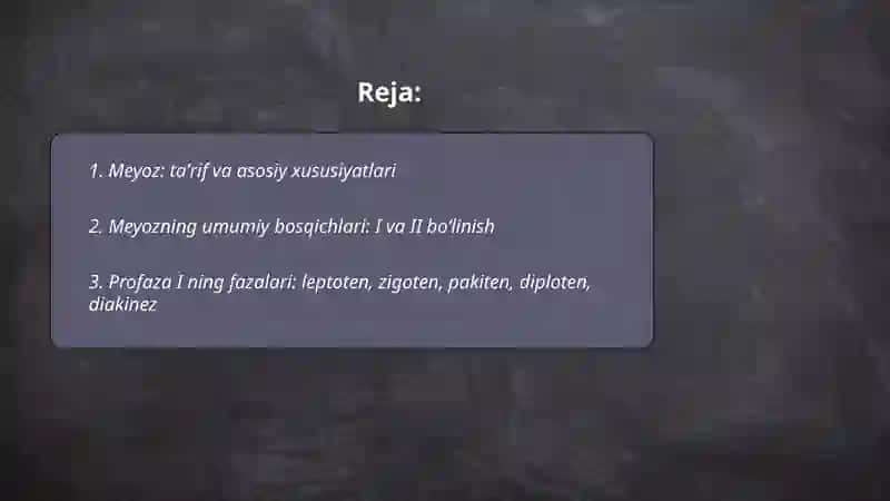Meyoz 2