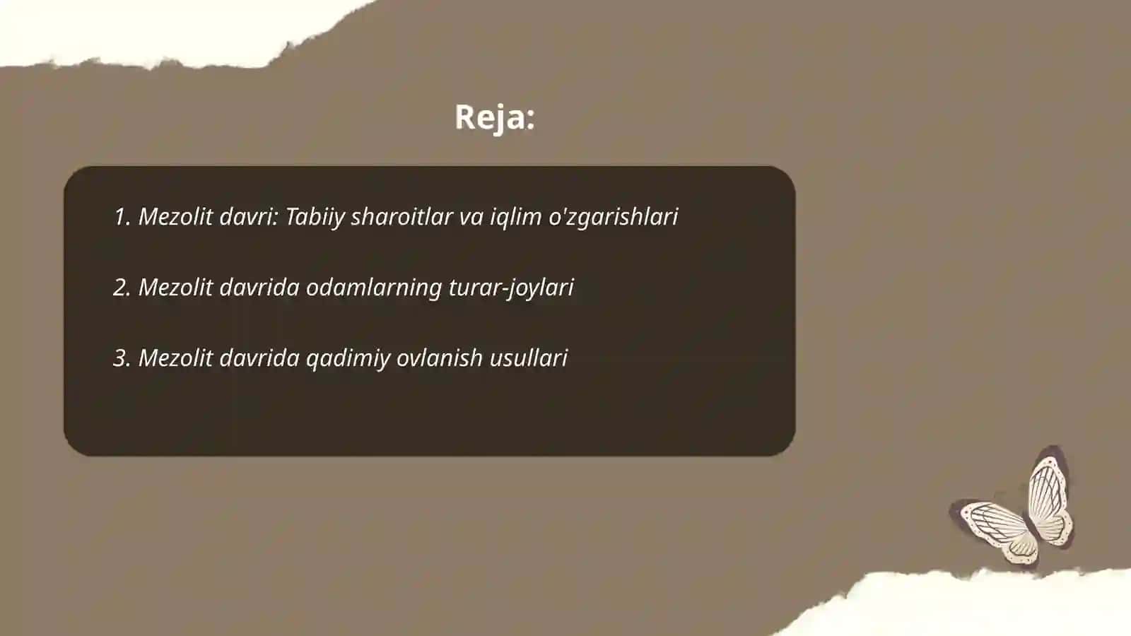 Mezolit davri va uni oʻrganish 2