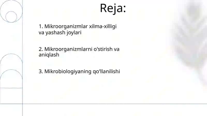 Mikroo'g'it turlarini o'rganish 2