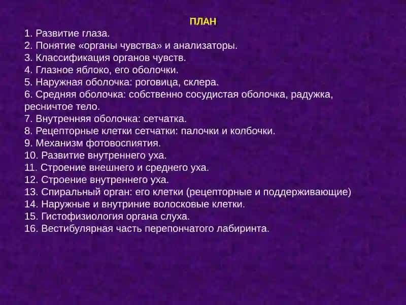ОРГАНЫ ЧУВСТВ 2