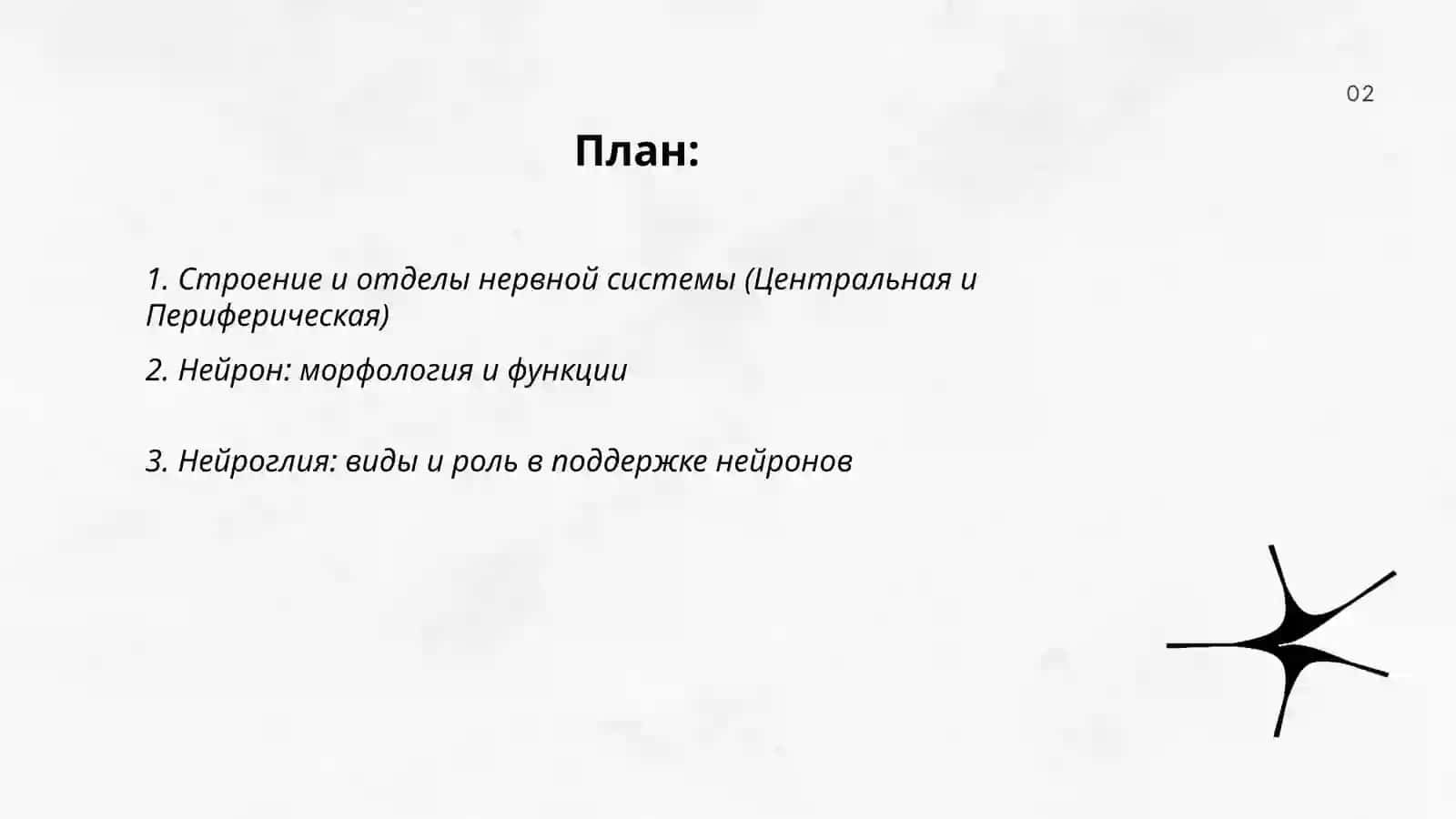 Нервная система человека 2