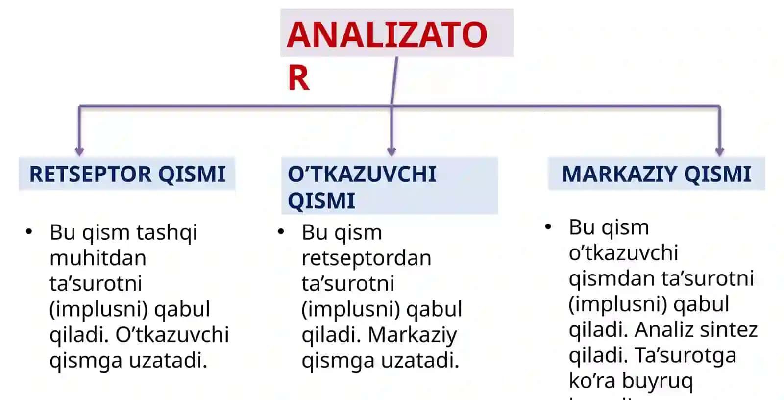 KO’RISH VA ESHITISH ANALIZATORI 2