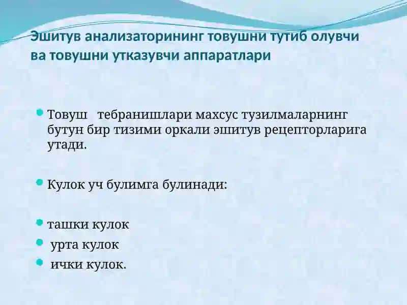 Эшитув анализатори 2