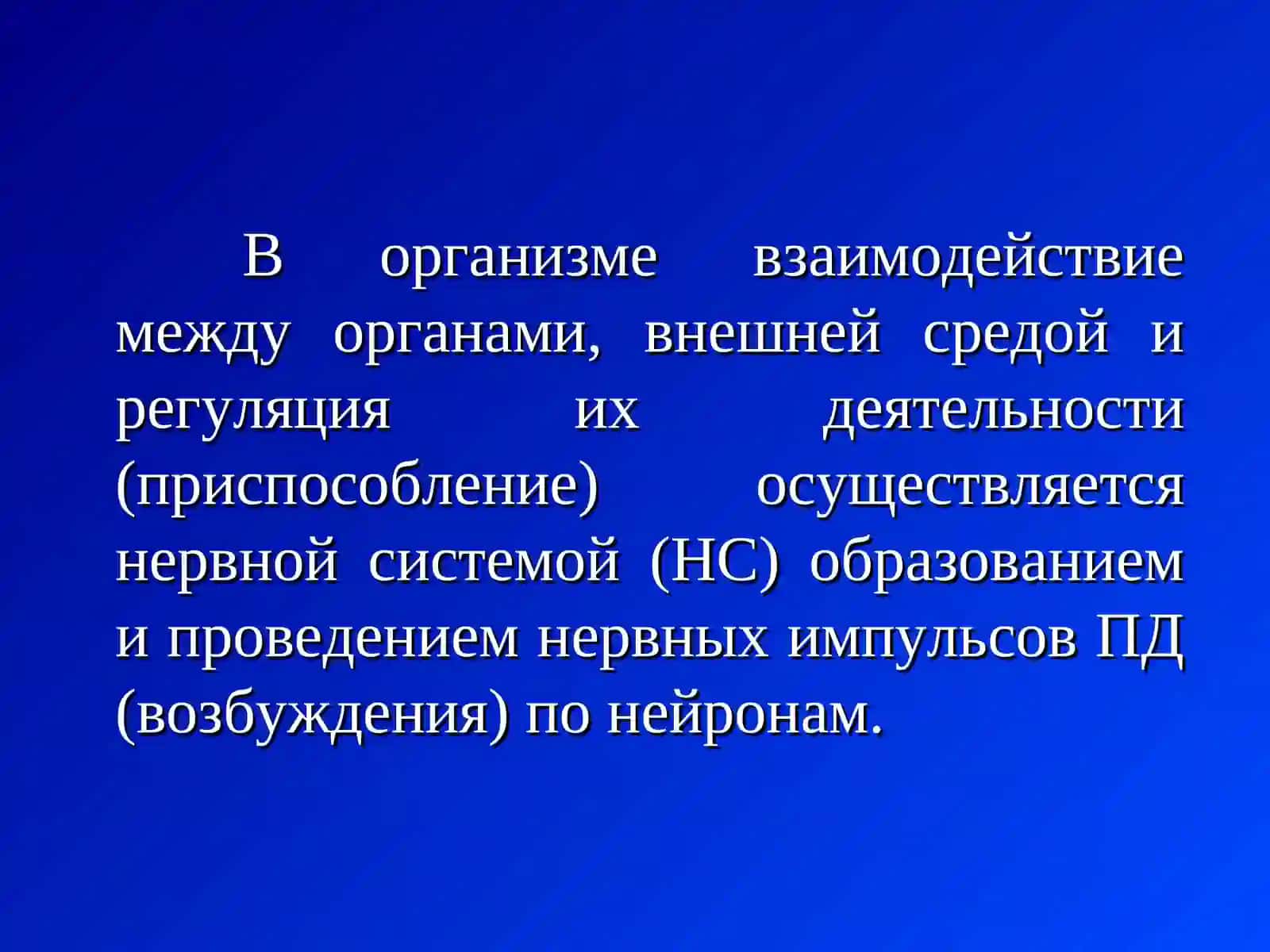 Лекция №4ТЕМА:Нервные волокна и синапсы 2