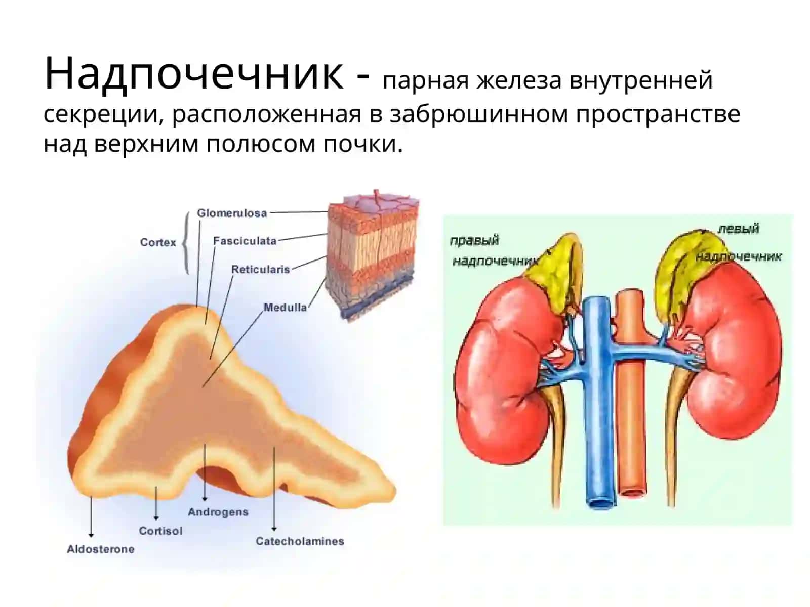 Иценко-Кушинга 2