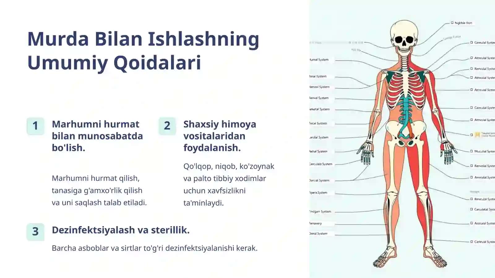 Xirurgik Bo'limda Murda Bilan Ishlash Tartiblari 2