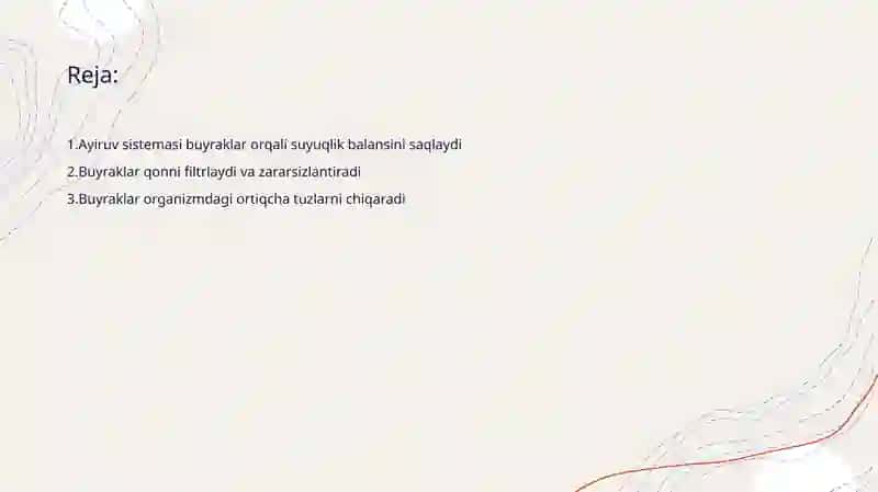 Buyraklar fiziologiyasi 2