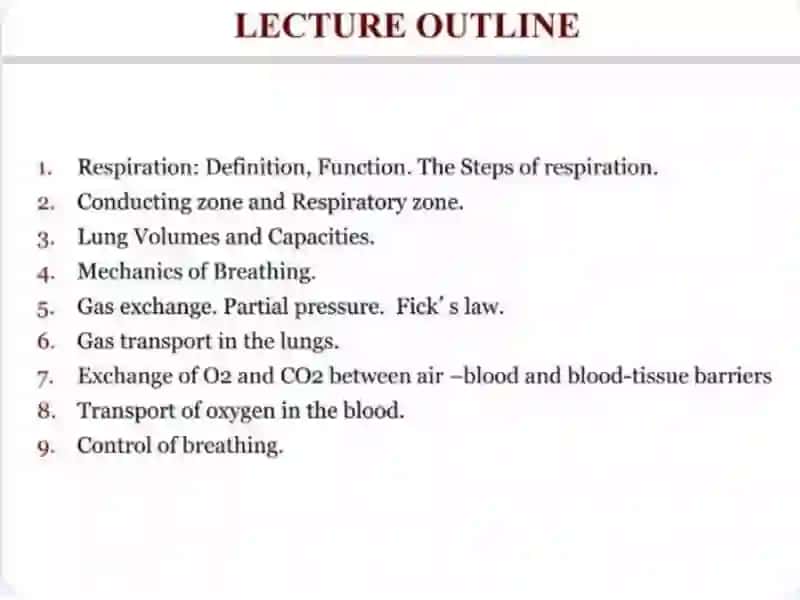 Respiratory sistim 2