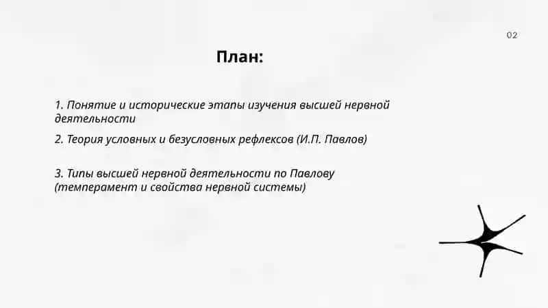 Высшая нервная деятельность 2