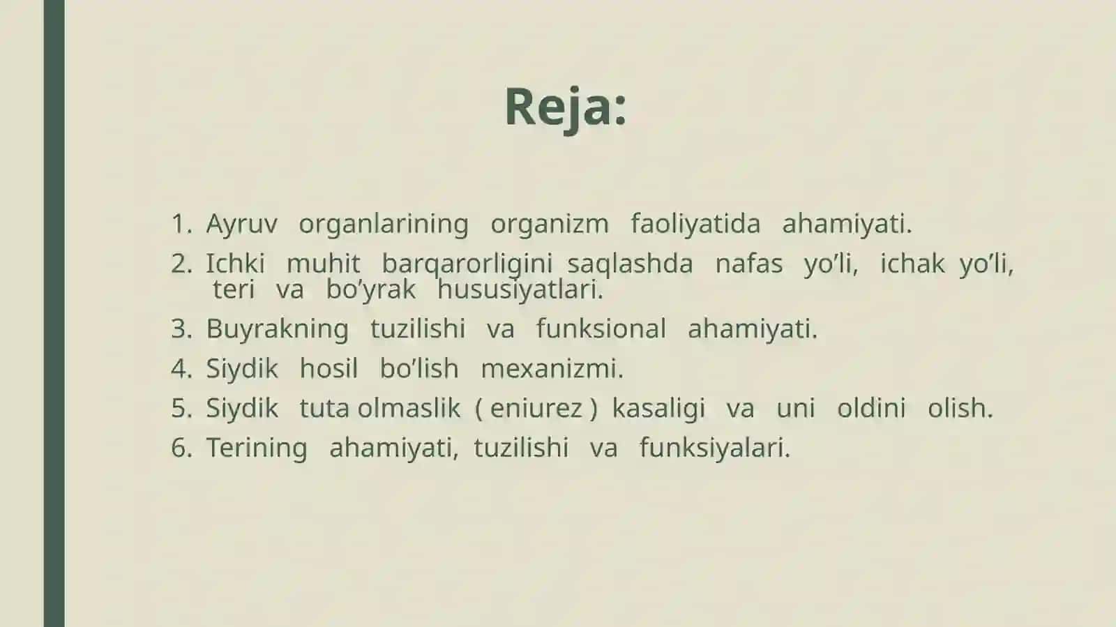 Ayiruvorganlari 2